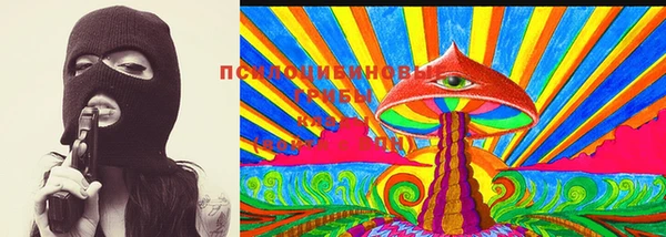мдпв Алзамай
