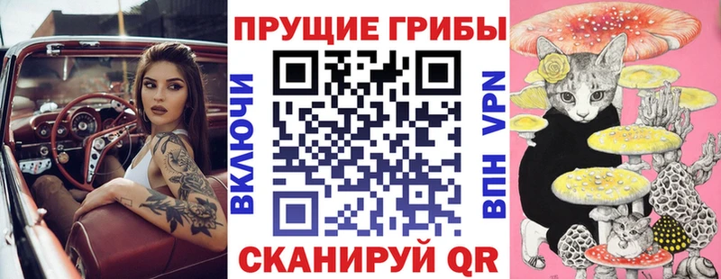 блэк спрут tor  Салават  Галлюциногенные грибы мухоморы 