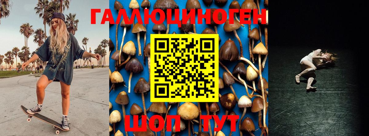 Галлюциногенные грибы Psilocybine cubensis Салават